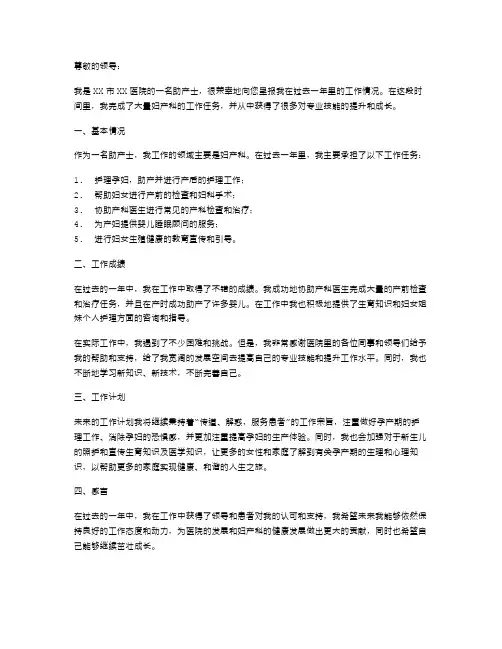 助产士述职报告