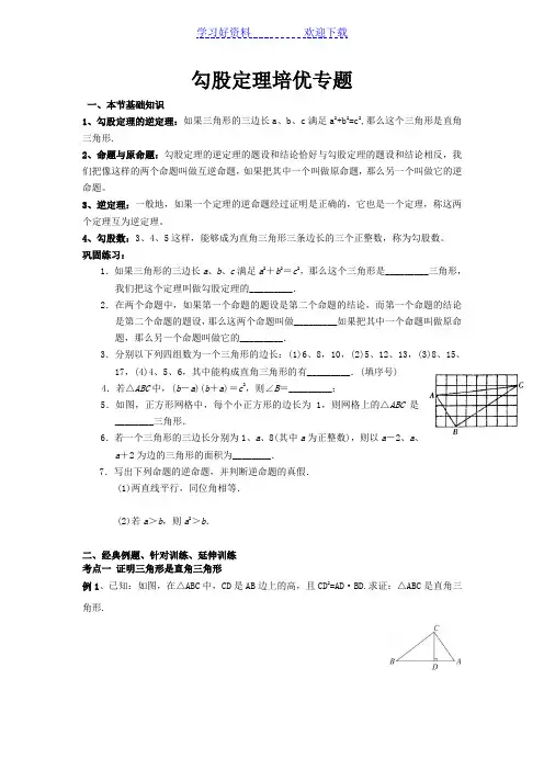 勾股定理的培优专题