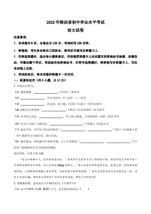 2023年陕西省中考语文真题卷(含答案与解析)