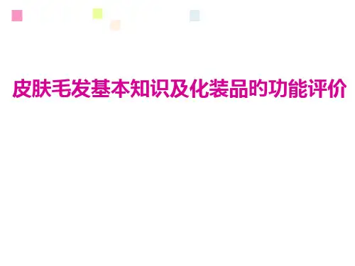 皮肤毛发基本知识及化妆品的功效评价