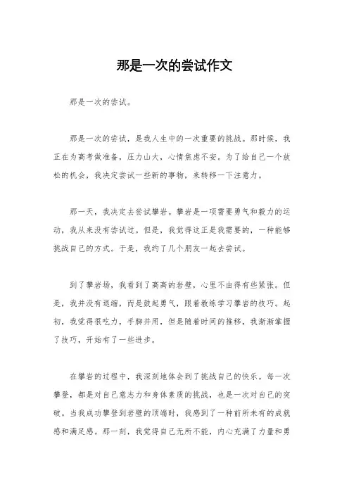 那是一次的尝试作文