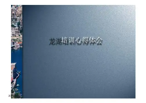 培训心得体会(个人沥血奉献,研究龙湖体验区必读)