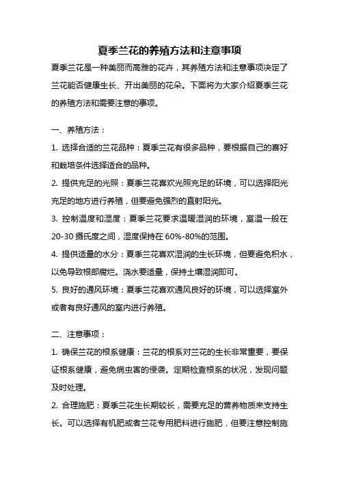 夏季兰花的养殖方法和注意事项