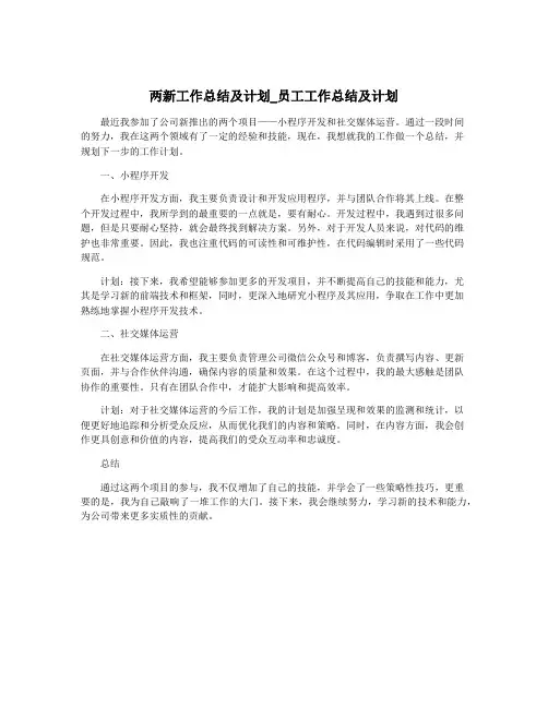 两新工作总结及计划_员工工作总结及计划