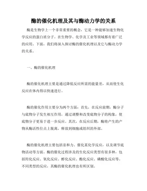 酶的催化机理及其与酶动力学的关系