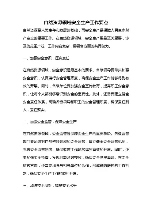 自然资源领域安全生产工作要点