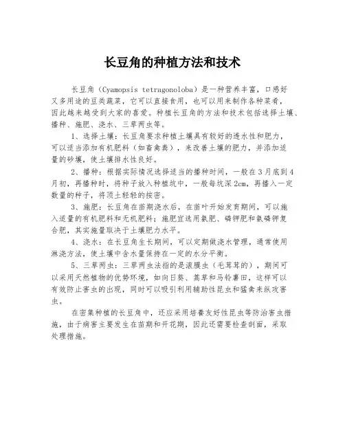 长豆角的种植方法和技术