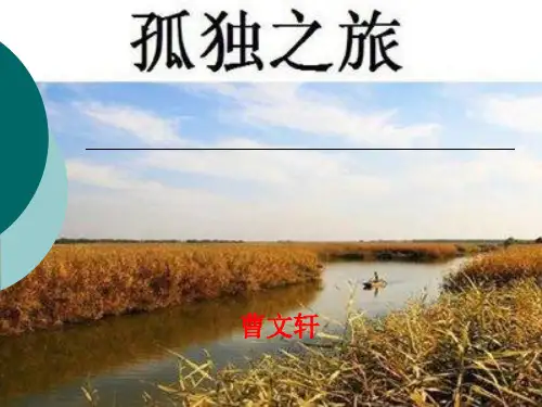 《孤独之旅》ppt课件