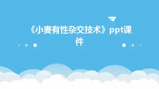 《小麦有性杂交技术》课件