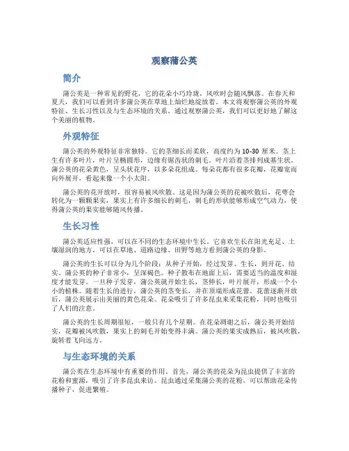 观察蒲公英的作文