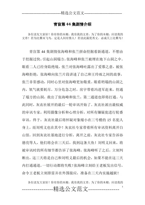 青盲第44集剧情介绍