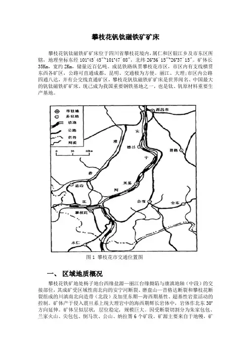 攀枝花铁矿报告