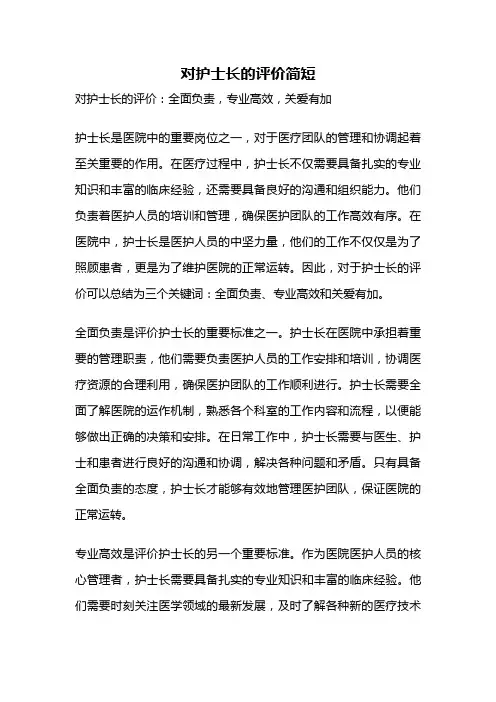 对护士长的评价简短