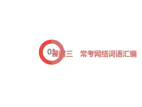 中考复习网络词语汇编
