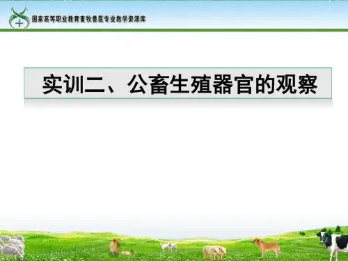 实训2公畜生殖器官观察课件.