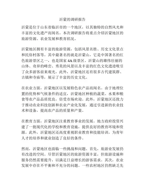 沂蒙的调研报告