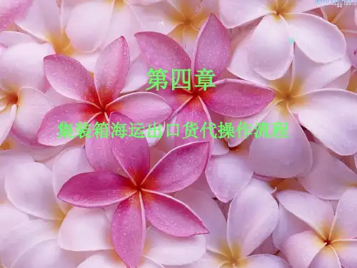 集装箱海运出口货代操作流程