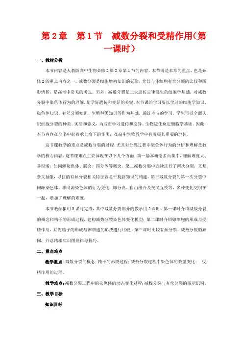 高中生物 2.1 减数分裂(第1课时)教案 新人教版必修2-新人教版高一必修2生物教案