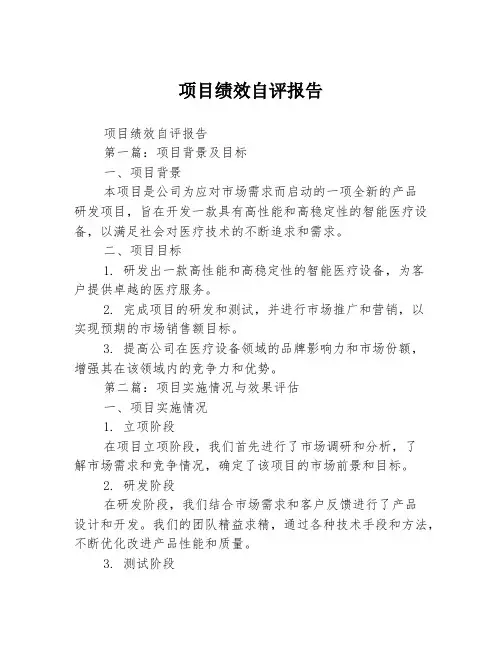 项目绩效自评报告