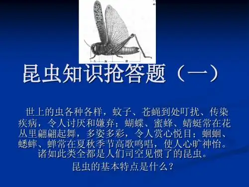 昆虫知识抢答题