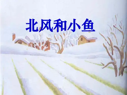 北风和小鱼- 优秀PPT课件3