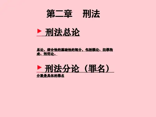 刑法重点难点解析PPT