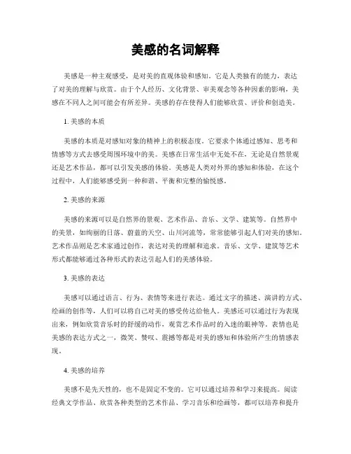 美感的名词解释