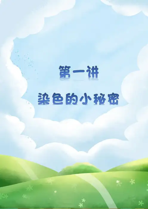 二年级下册数学思维拓展：第一讲 染色问题