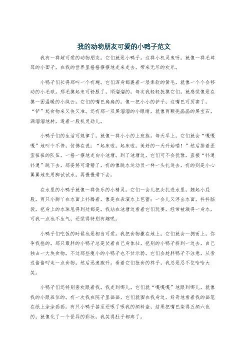 我的动物朋友可爱的小鸭子范文