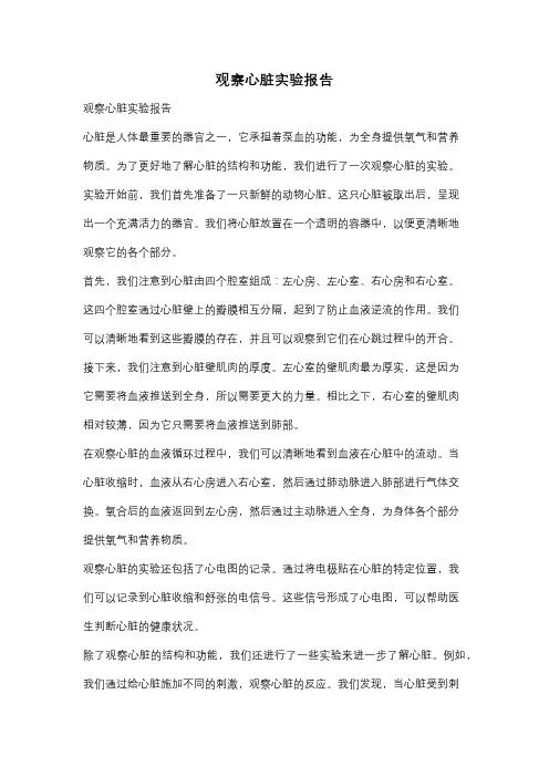 观察心脏实验报告