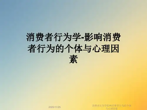 消费者行为学影响消费者行为的个体与心理因素