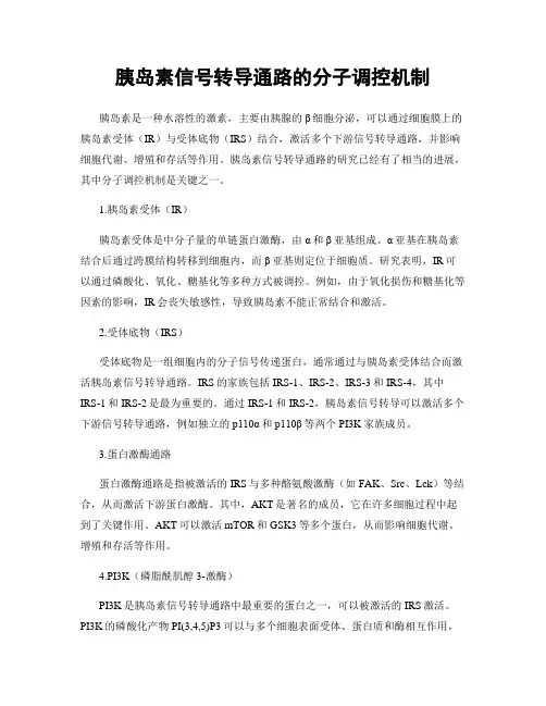胰岛素信号转导通路的分子调控机制