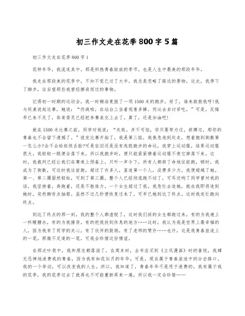 初三作文走在花季800字5篇