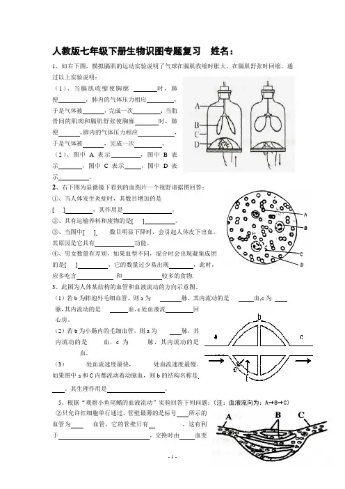 人教版七年级下册生物识图专题复习