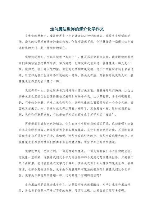 走向魔法世界的媒介化学作文
