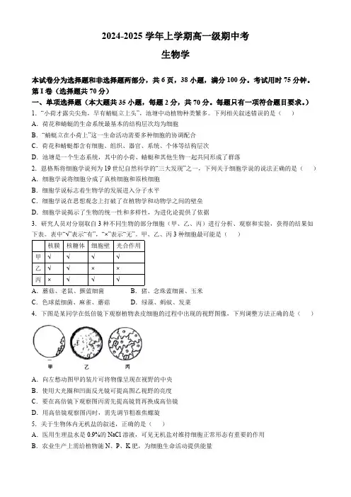 广东省广州市2024-2025学年高一上学期期中考试生物试卷(含答案)