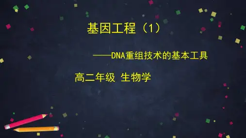 高二生物学基因工程PPT课件