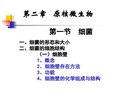微生物学第二章原核微生物.ppt