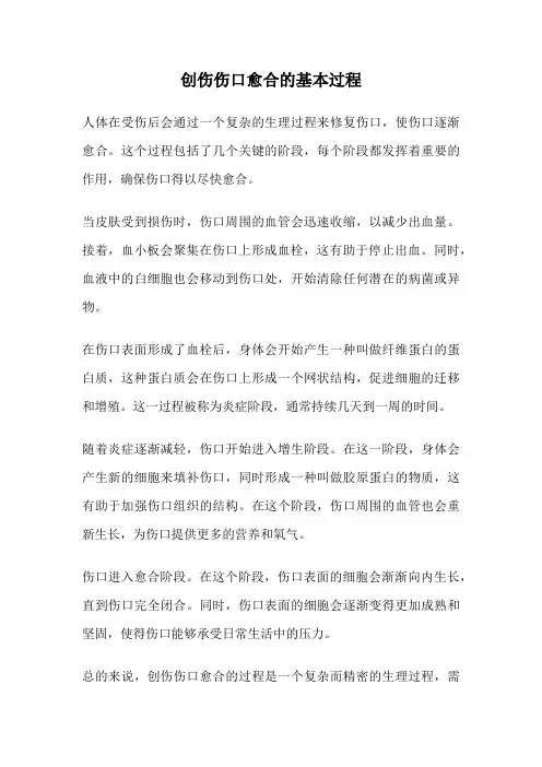 创伤伤口愈合的基本过程