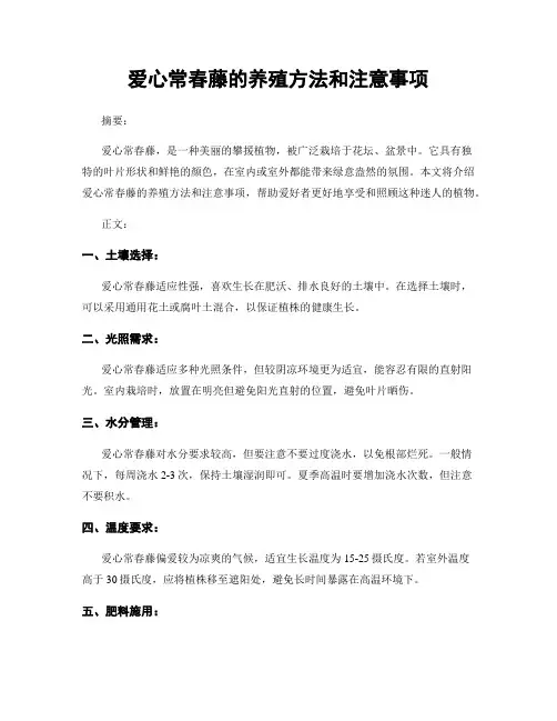 爱心常春藤的养殖方法和注意事项