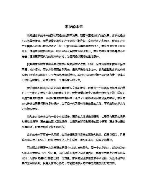家乡的未来