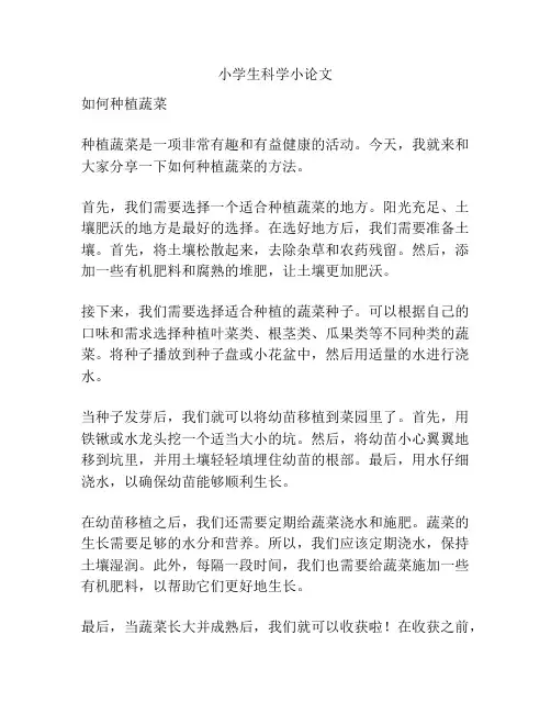 小学生科学小论文