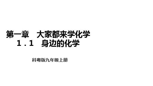 粤教版化学九年级上册11 身边的化学(习题课件共17页)ppt
