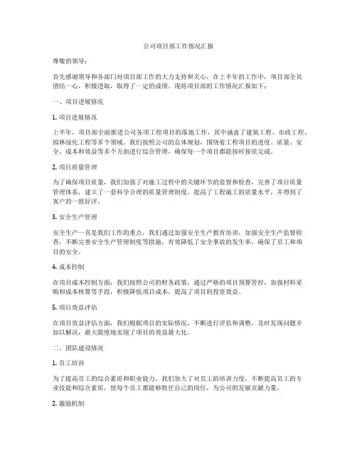 公司项目部工作情况汇报