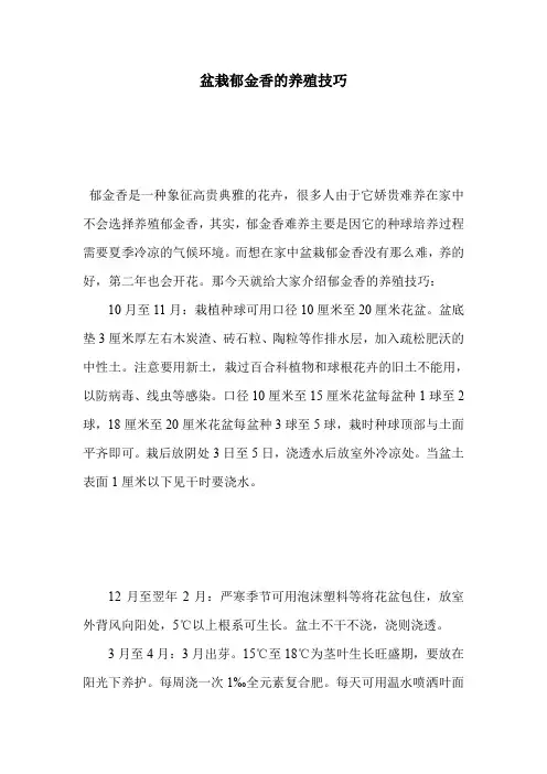 盆栽郁金香的养殖技巧.doc