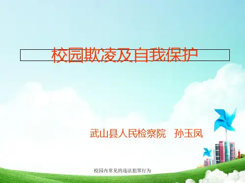 校园内常见的违法犯罪行为 ppt课件