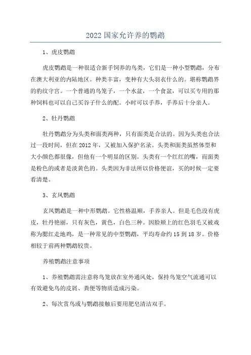 2022国家允许养的鹦鹉