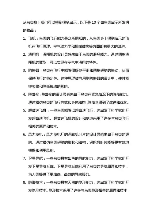 鸟类的启示发明10个