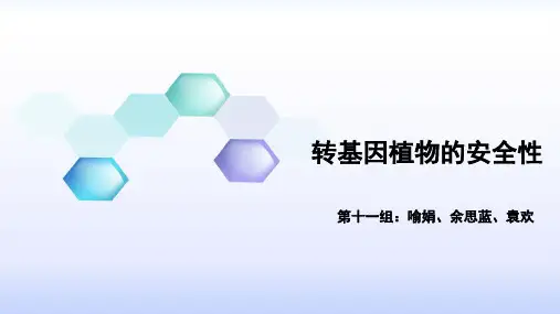 转基因植物的安全性-PPT文档资料