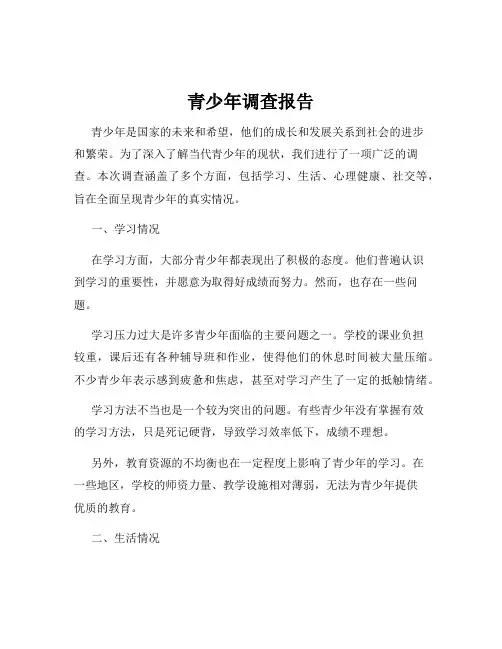 青少年调查报告